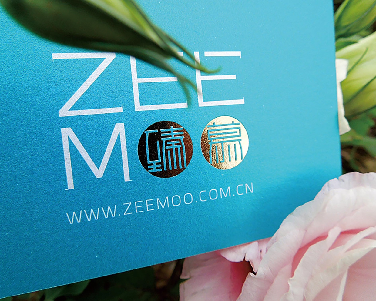 zeemoo